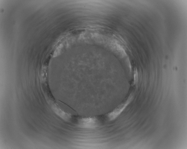 X0000083650237200702261124