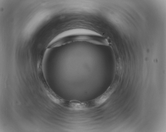 X0000083650239200702261124