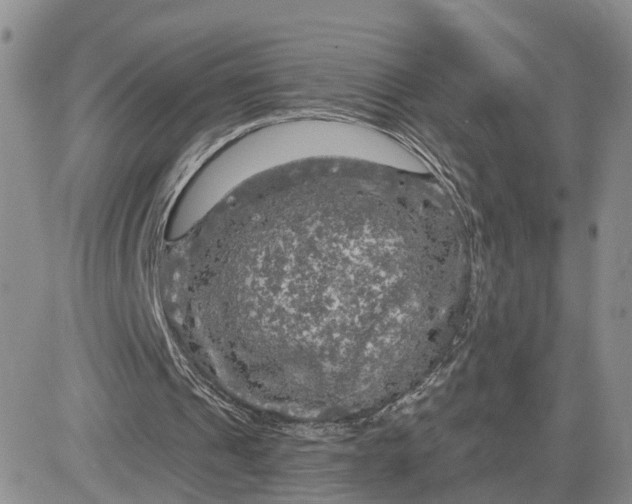 X0000083650241200702261123