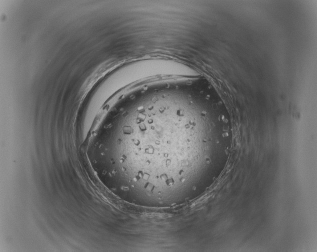 X0000083650242200702261123