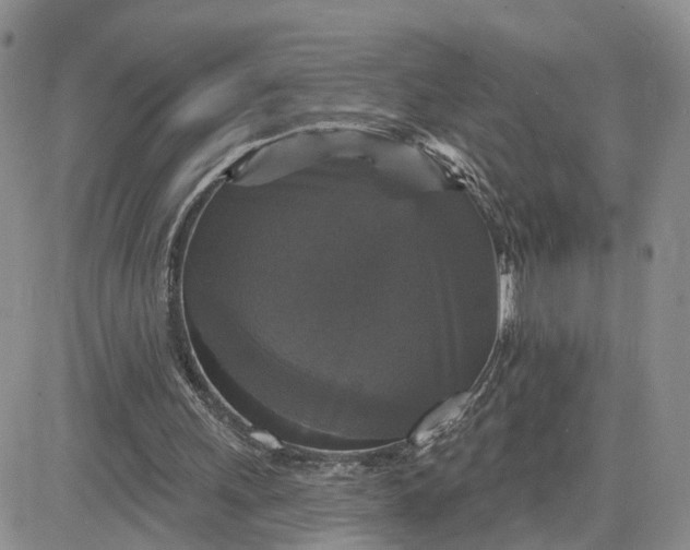 X0000083650243200702261123