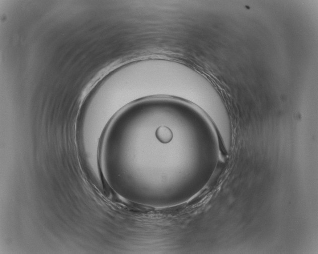 X0000083650244200702261123