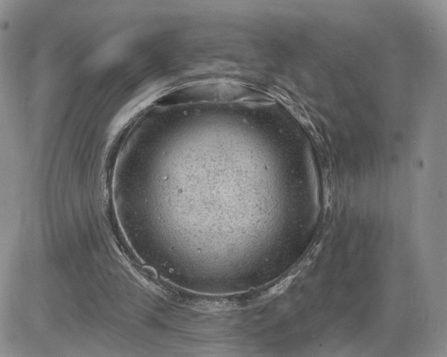 X0000083650245200702261123