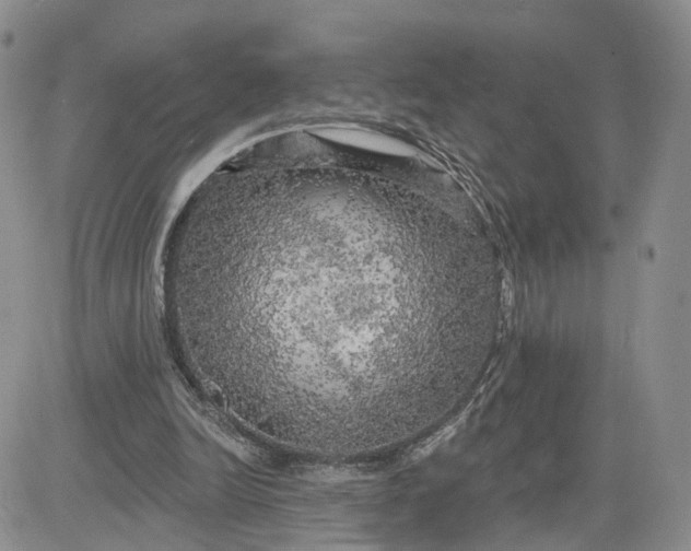 X0000083650246200702261123