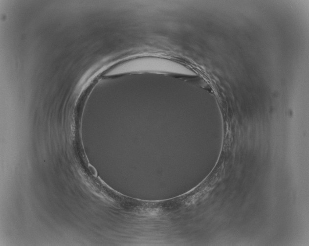 X0000083650247200702261123