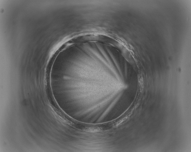 X0000083650248200702261123