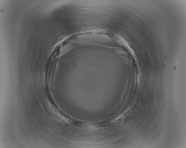 X0000083650249200702261123