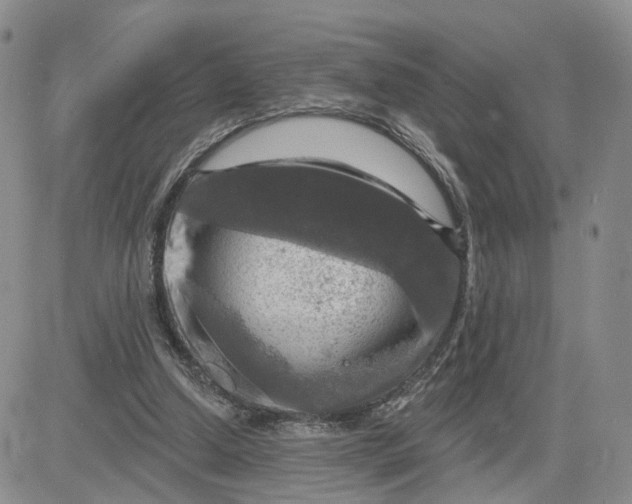 X0000083650250200702261123