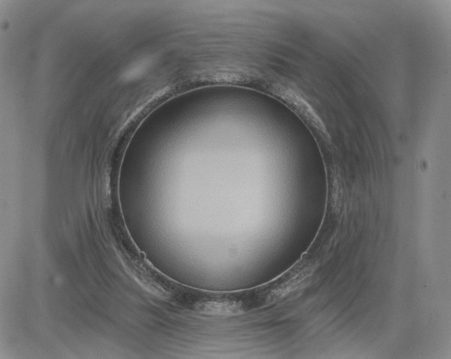 X0000083650251200702261123