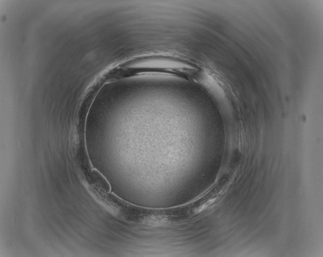 X0000083650252200702261123