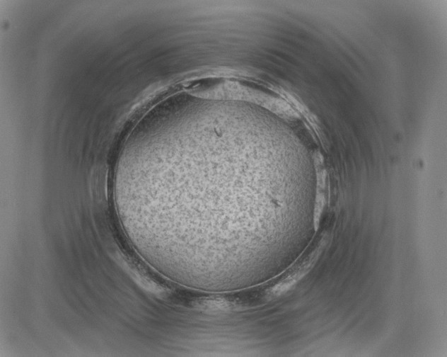 X0000083650253200702261123