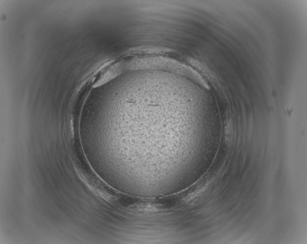 X0000083650254200702261123