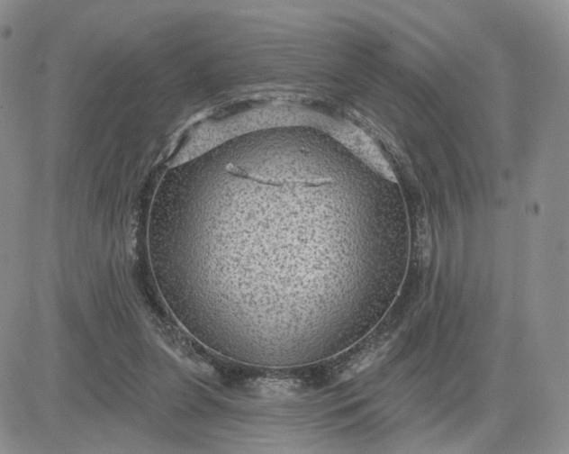 X0000083650255200702261123