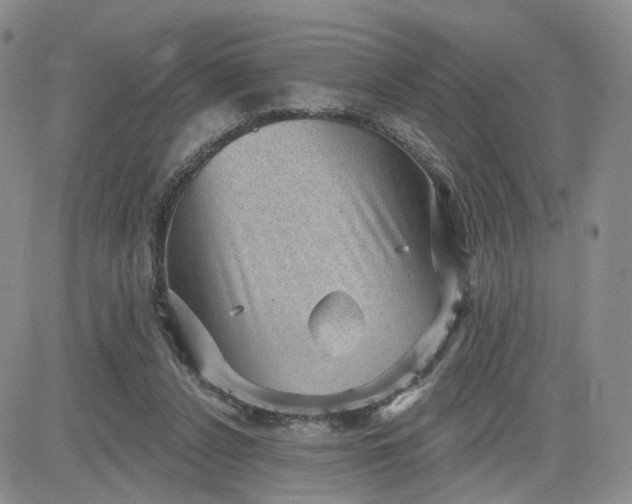 X0000083650256200702261123