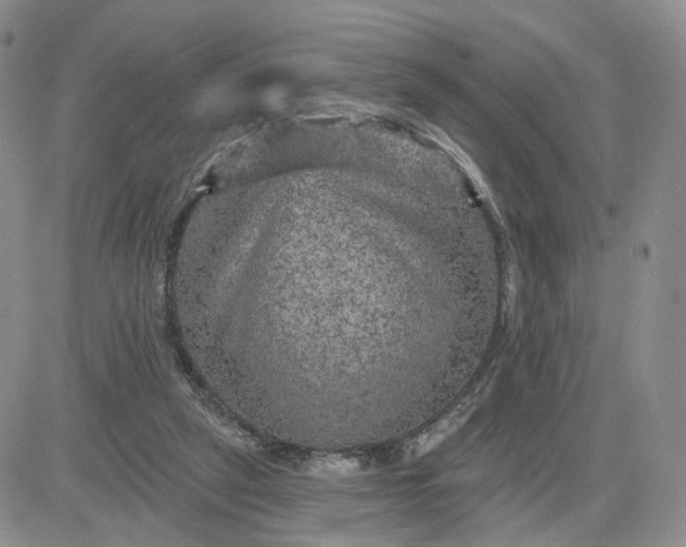 X0000083650257200702261123