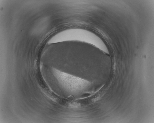 X0000083650258200702261123