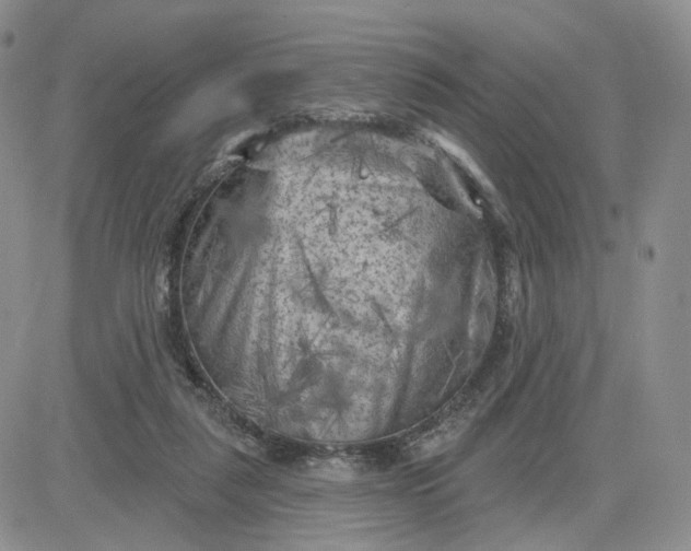 X0000083650259200702261123