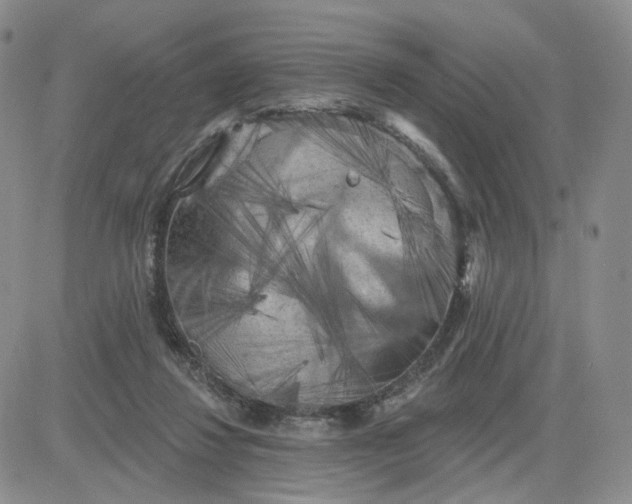 X0000083650260200702261123