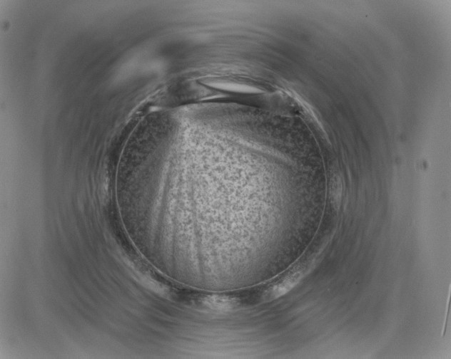 X0000083650261200702261123