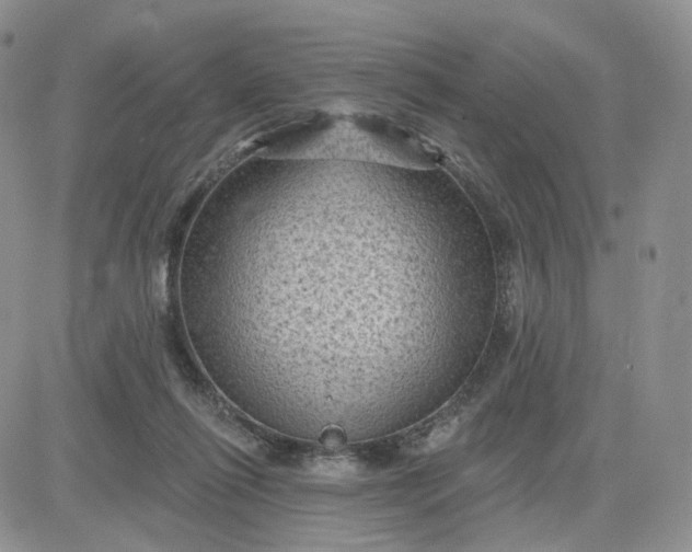 X0000083650262200702261123