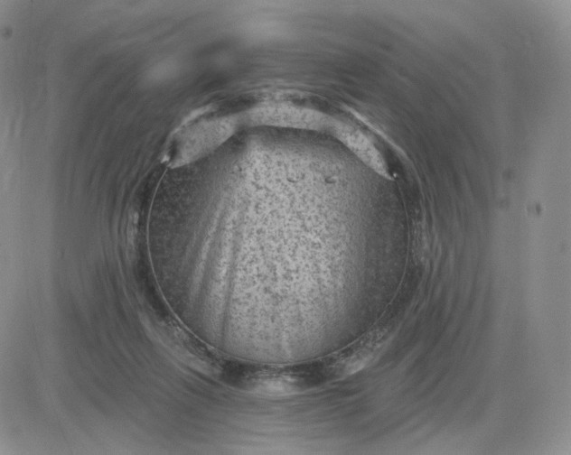 X0000083650263200702261124