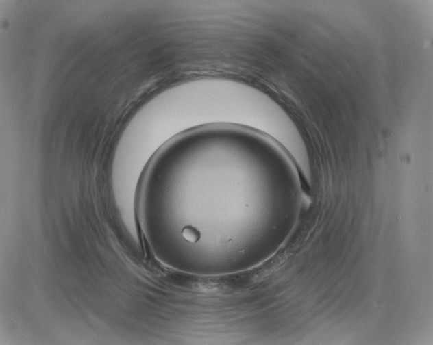 X0000083650264200702261124