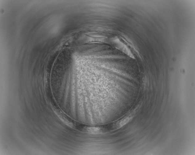 X0000083650265200702261124