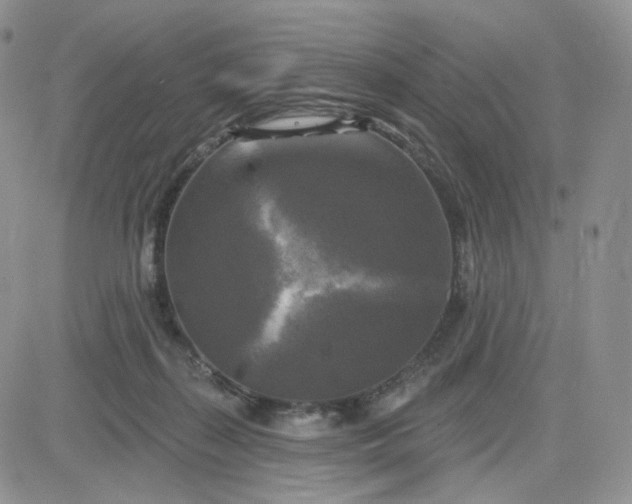 X0000083650267200702261124