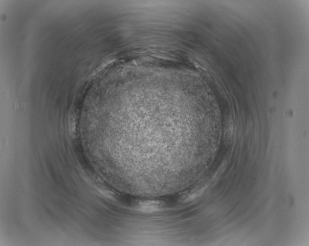 X0000083650268200702261124