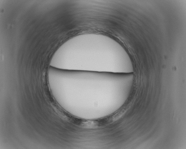 X0000083650269200702261124