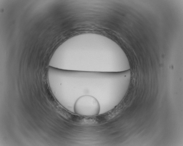 X0000083650270200702261124