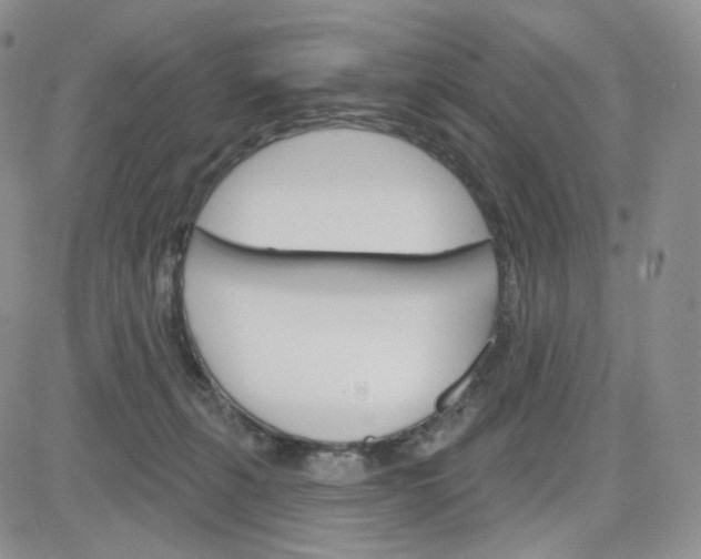 X0000083650271200702261124