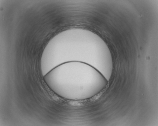 X0000083650272200702261124