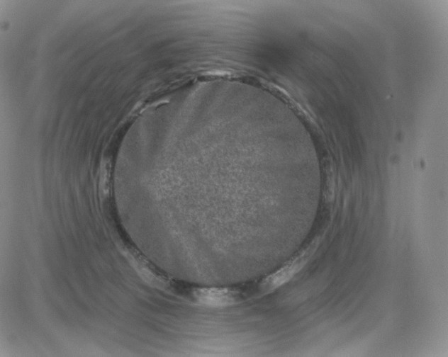 X0000083650273200702261124