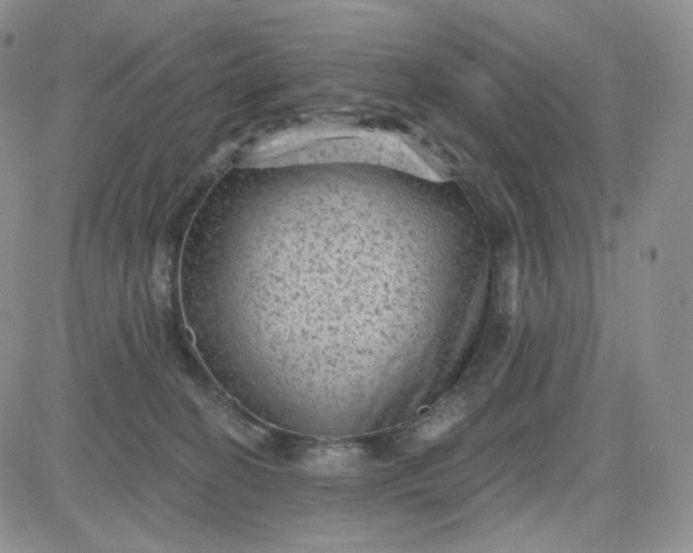 X0000083650274200702261124