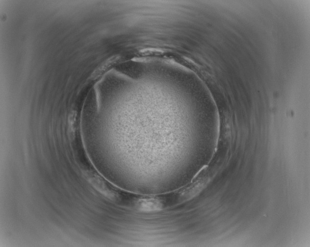 X0000083650275200702261124