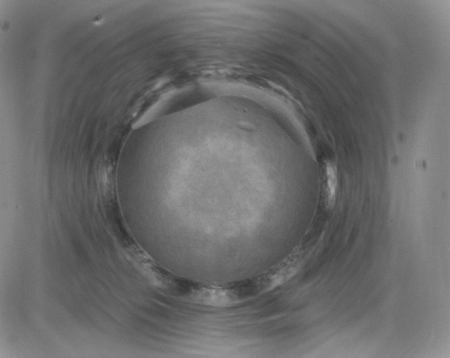 X0000083650276200702261124