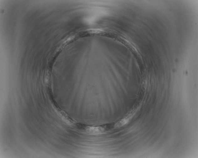 X0000083650277200702261124