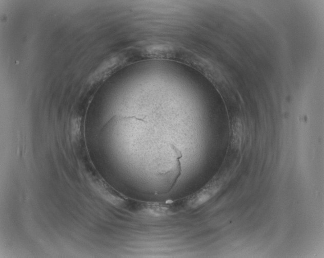 X0000083650278200702261124