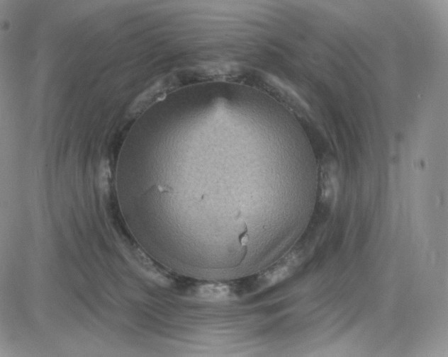 X0000083650279200702261124