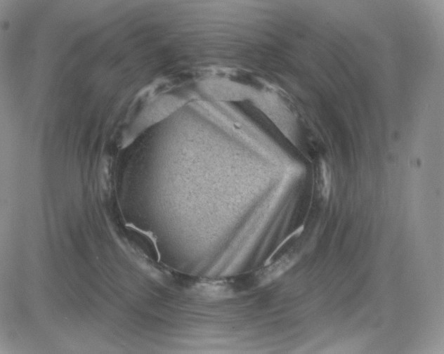 X0000083650280200702261124