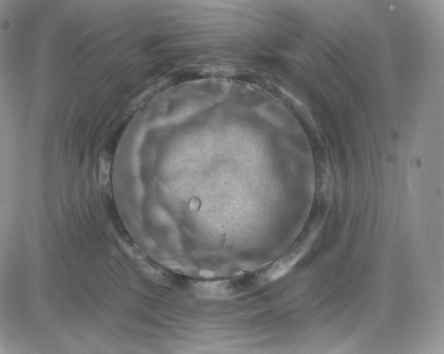 X0000083650281200702261124