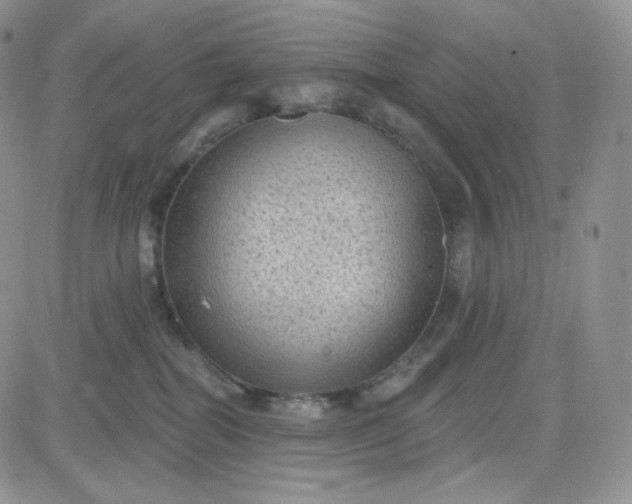 X0000083650282200702261124