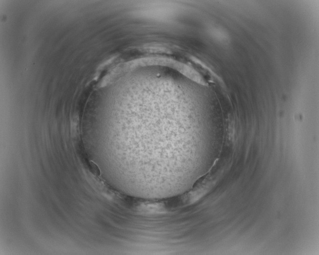 X0000083650283200702261124