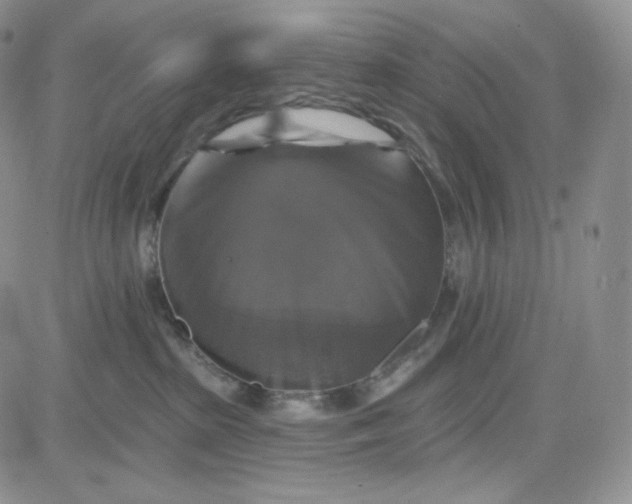 X0000083650285200702261124