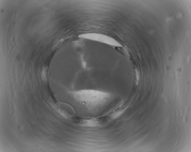 X0000083650286200702261124