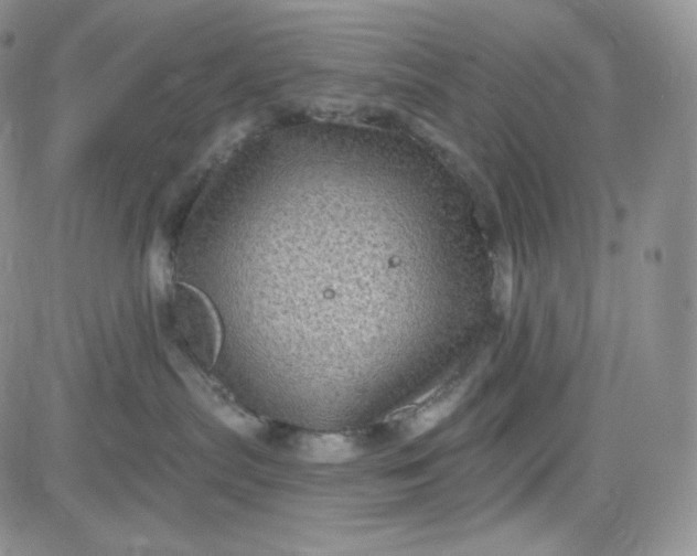 X0000083650287200702261124