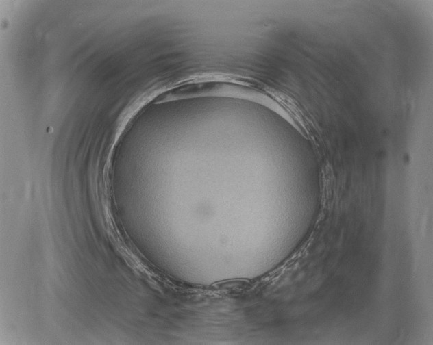 X0000083650289200702261123