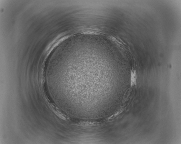 X0000083650291200702261123