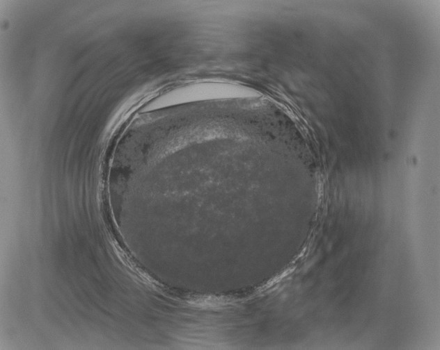 X0000083650293200702261123